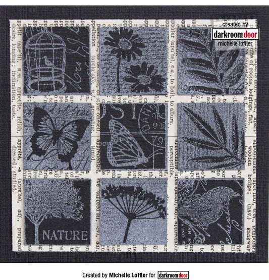 Garden Inchies - Darkroom Door Rubber Stamp Set